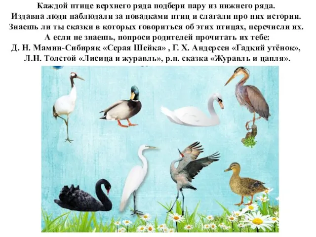 Каждой птице верхнего ряда подбери пару из нижнего ряда. Издавна люди