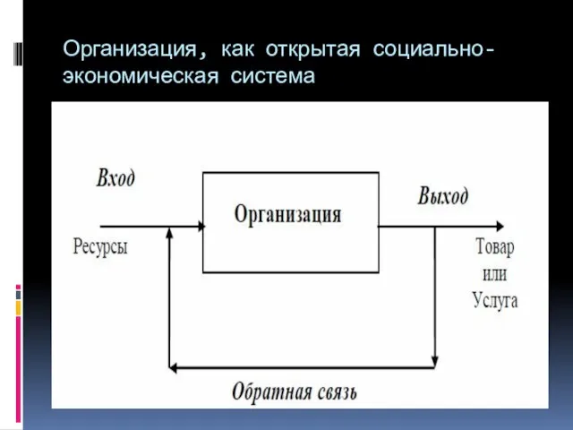 Организация, как открытая социально-экономическая система