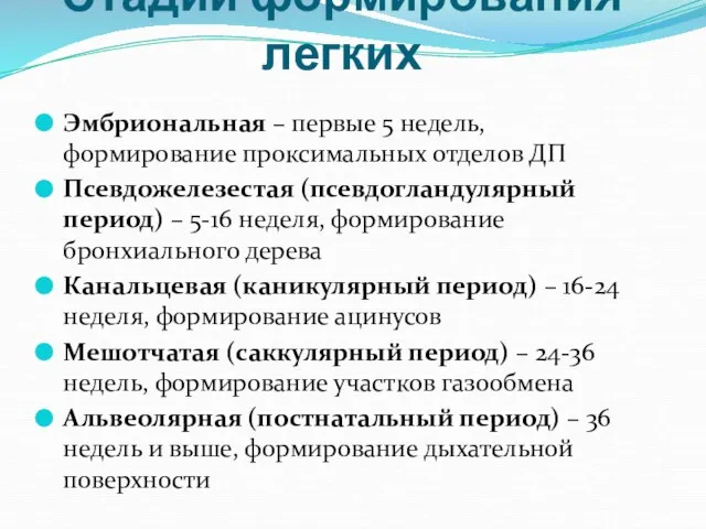 Стадии формирования легких Эмбриональная – первые 5 недель, формирование проксимальных отделов