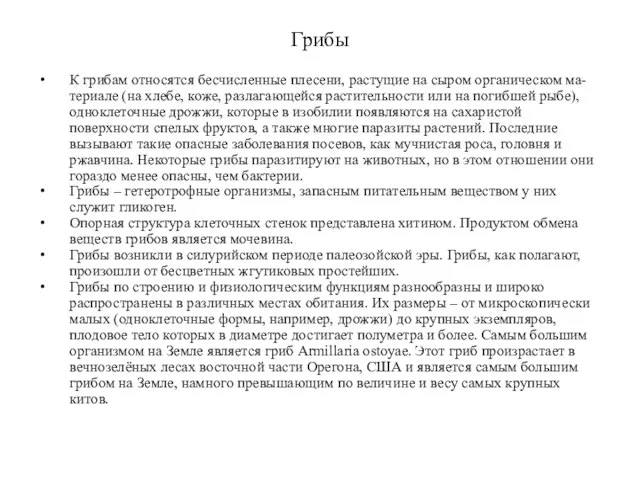 Грибы К грибам относятся бесчисленные плесени, растущие на сыром органическом ма-териале