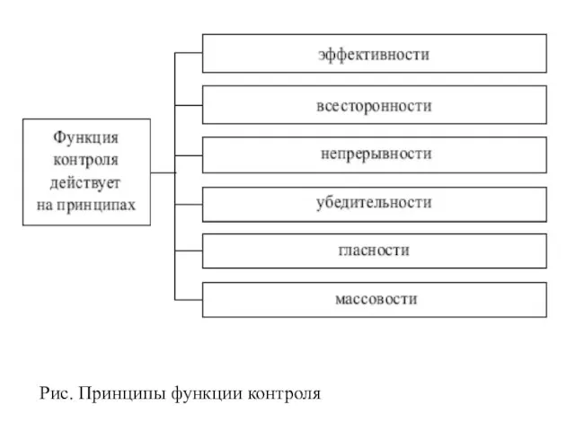 Рис. Принципы функции контроля