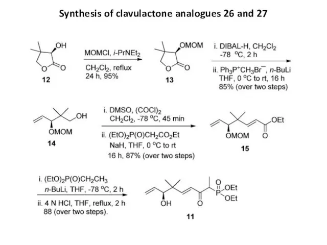 Synthesis of clavulactone analogues 26 and 27