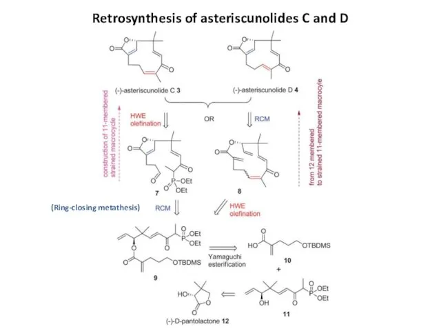 Retrosynthesis of asteriscunolides C and D (Ring-closing metathesis)