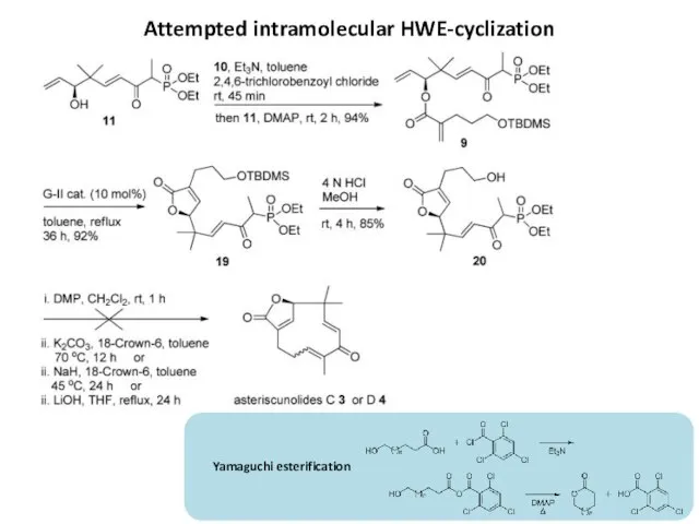 Attempted intramolecular HWE-cyclization Yamaguchi esterification