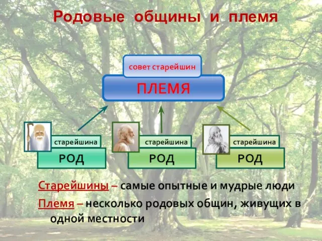 Родовые общины и племя Старейшины – самые опытные и мудрые люди