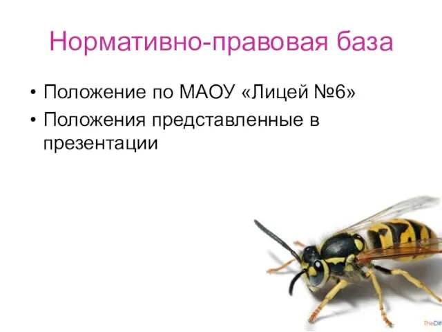 Нормативно-правовая база Положение по МАОУ «Лицей №6» Положения представленные в презентации