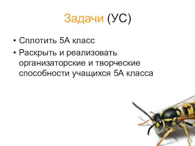 Задачи (УС) Сплотить 5А класс Раскрыть и реализовать организаторские и творческие способности учащихся 5А класса