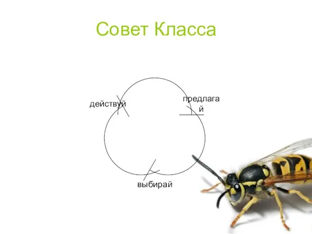 Совет Класса