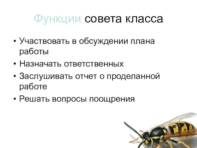 Функции совета класса Участвовать в обсуждении плана работы Назначать ответственных Заслушивать