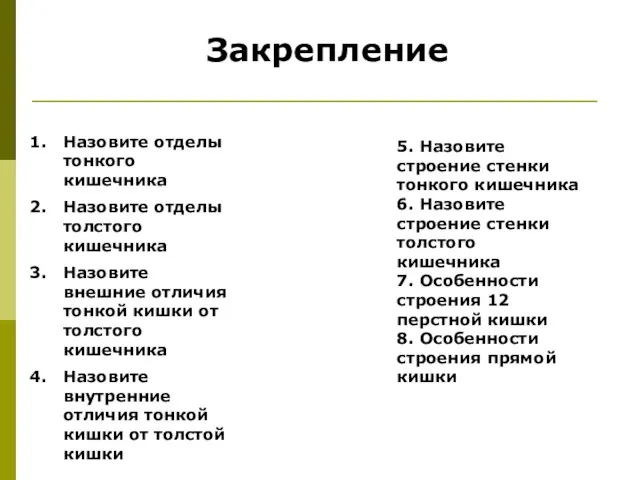 Закрепление Назовите отделы тонкого кишечника Назовите отделы толстого кишечника Назовите внешние