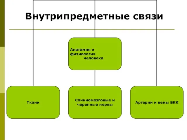 Внутрипредметные связи