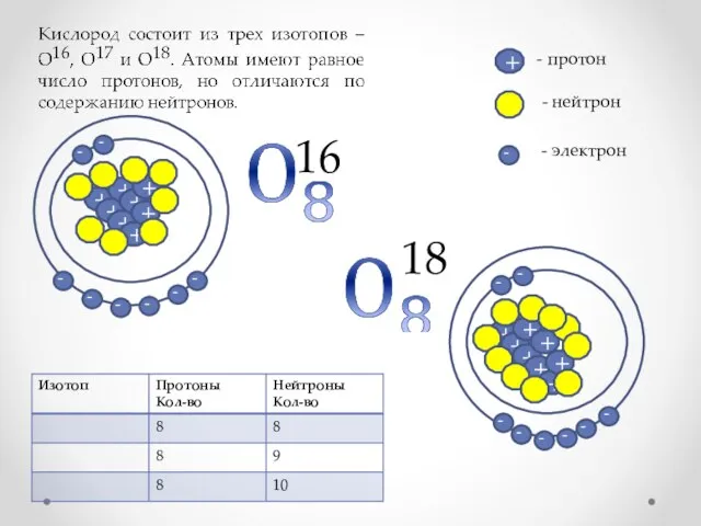 - нейтрон + - протон 16 - - электрон - -