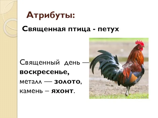 Атрибуты: Священный день — воскресенье, металл — золото, камень – яхонт. Священная птица - петух