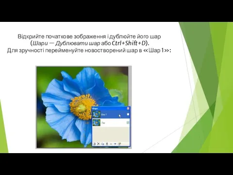 Відкрийте початкове зображення і дублюйте його шар (Шари — Дублювати шар