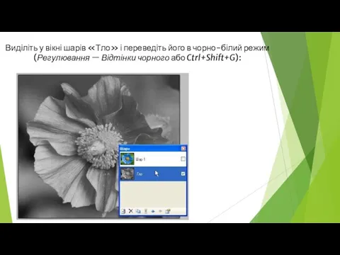 Виділіть у вікні шарів «Тло» і переведіть його в чорно-білий режим