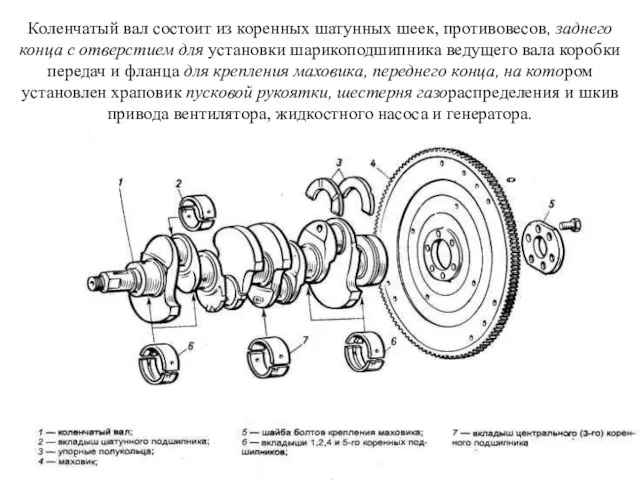 Коленчатый вал состоит из коренных шатунных шеек, противовесов, заднего конца с