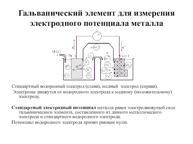 Гальванический элемент для измерения электродного потенциала металла Стандартный водородный электрод (слева),