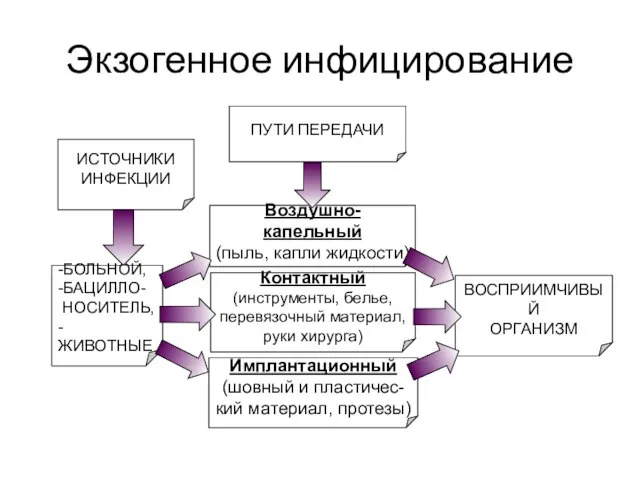 Экзогенное инфицирование