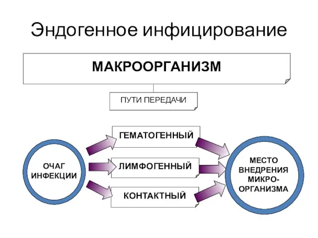 Эндогенное инфицирование