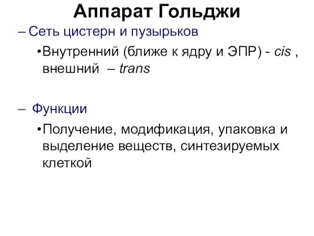 Аппарат Гольджи Сеть цистерн и пузырьков Внутренний (ближе к ядру и