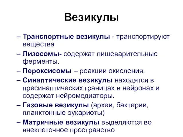 Везикулы Транспортные везикулы - транспортируют вещества Лизосомы- содержат пищеварительные ферменты. Пероксисомы