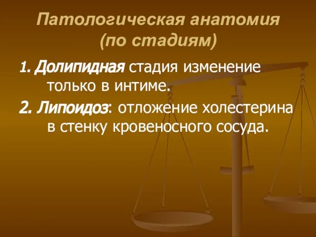 Патологическая анатомия (по стадиям) 1. Долипидная стадия изменение только в интиме.