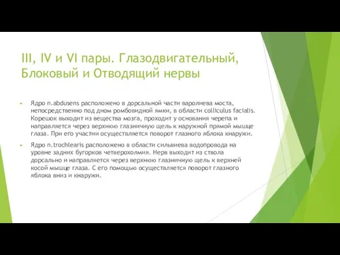 III, IV и VI пары. Глазодвигательный, Блоковый и Отводящий нервы Ядро