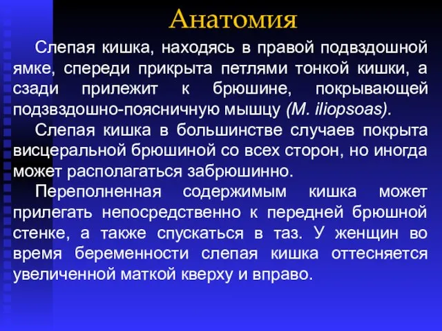 Анатомия Слепая кишка, находясь в правой подвздошной ямке, спереди прикрыта петлями