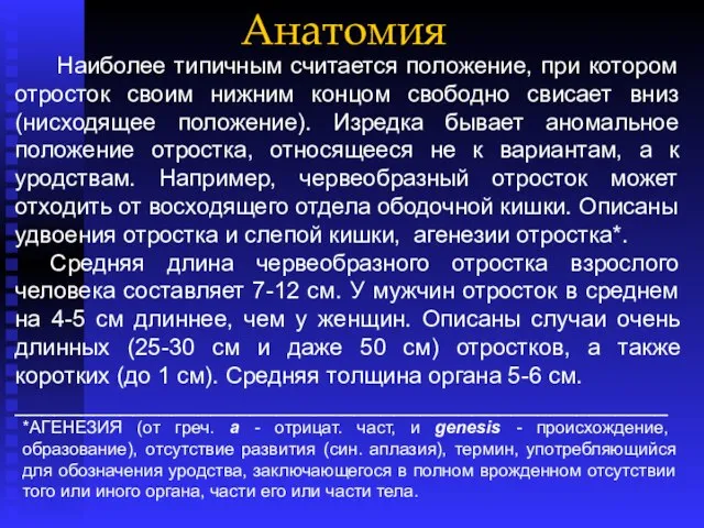 Анатомия Наиболее типичным считается положение, при котором отросток своим нижним концом