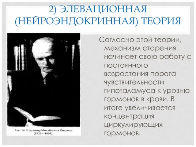 2) ЭЛЕВАЦИОННАЯ (НЕЙРОЭНДОКРИННАЯ) ТЕОРИЯ Согласно этой теории, механизм старения начинает свою