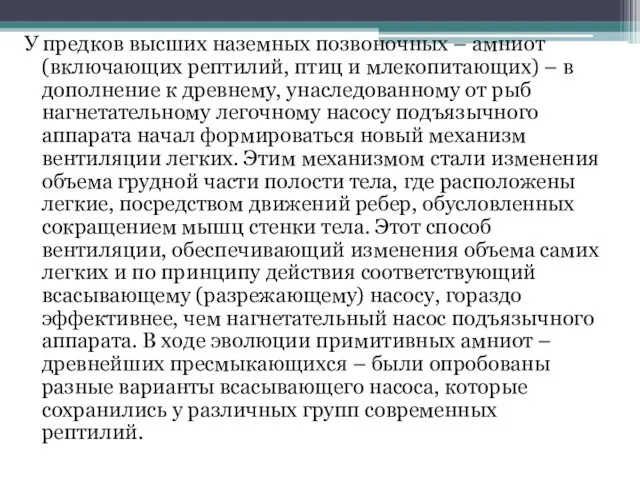 У предков высших наземных позвоночных – амниот (включающих рептилий, птиц и