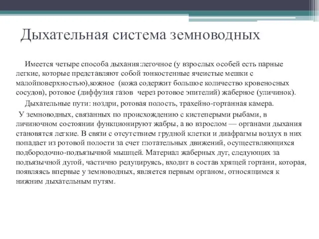 Дыхательная система земноводных Имеется четыре способа дыхания:легочное (у взрослых особей есть