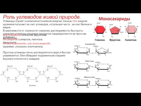 Роль углеводов живой природе. Углеводы служат основным источником энергии. Свыше 56%