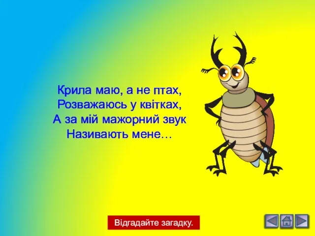 Відгадайте загадку. Крила маю, а не птах, Розважаюсь у квітках, А