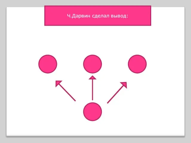 Ч.Дарвин сделал вывод: