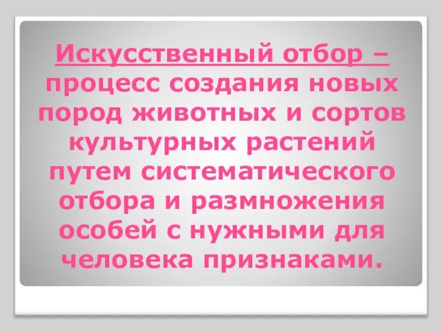 Искусственный отбор – процесс создания новых пород животных и сортов культурных