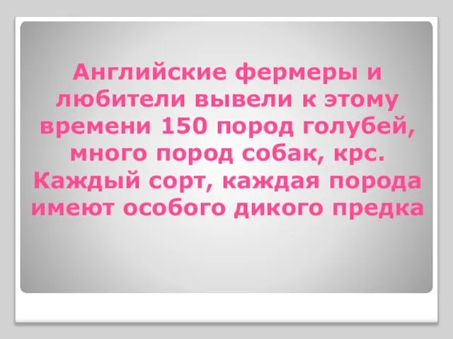 Английские фермеры и любители вывели к этому времени 150 пород голубей,