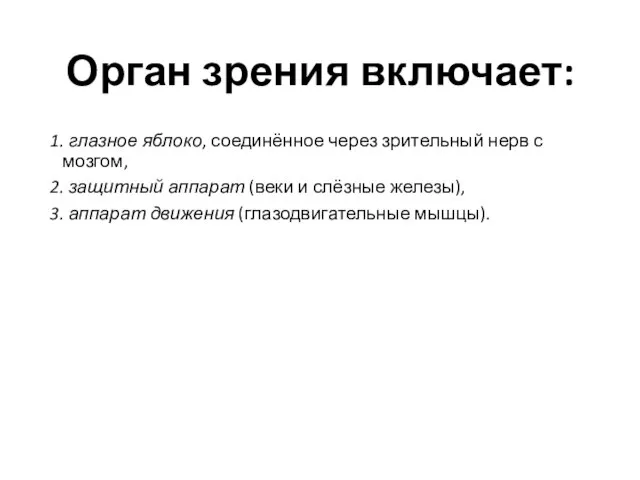 Орган зрения включает: 1. глазное яблоко, соединённое через зрительный нерв с