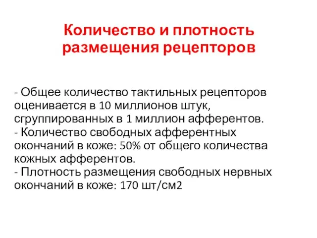 Количество и плотность размещения рецепторов - Общее количество тактильных рецепторов оценивается