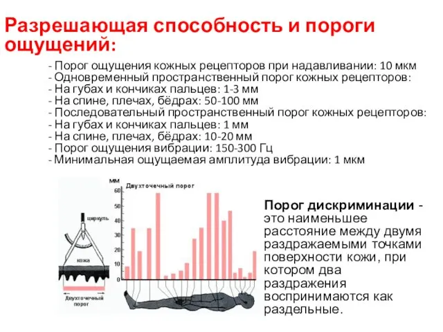 Разрешающая способность и пороги ощущений: - Порог ощущения кожных рецепторов при