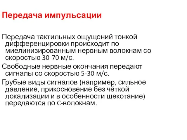 Передача импульсации Передача тактильных ощущений тонкой дифференцировки происходит по миелинизированным нервным