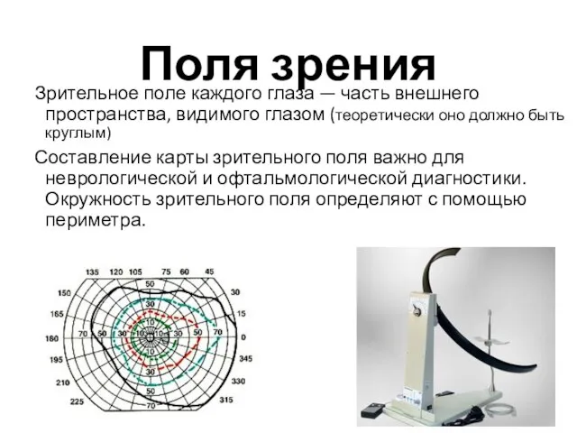 Поля зрения Зрительное поле каждого глаза — часть внешнего пространства, видимого