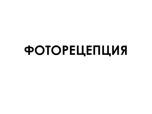 ФОТОРЕЦЕПЦИЯ