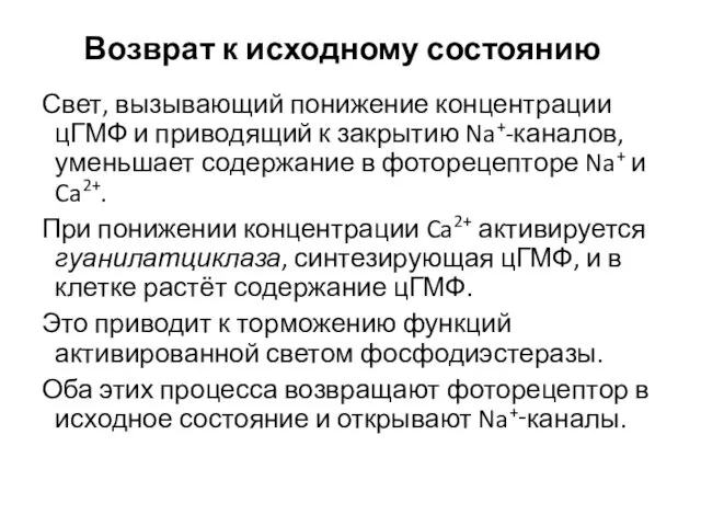 Возврат к исходному состоянию Свет, вызывающий понижение концентрации цГМФ и приводящий