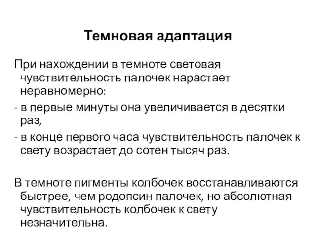 Темновая адаптация При нахождении в темноте световая чувствительность палочек нарастает неравномерно: