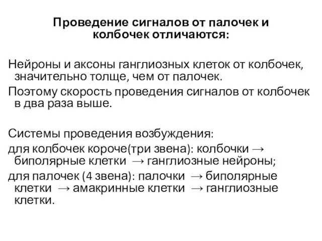 Проведение сигналов от палочек и колбочек отличаются: Нейроны и аксоны ганглиозных