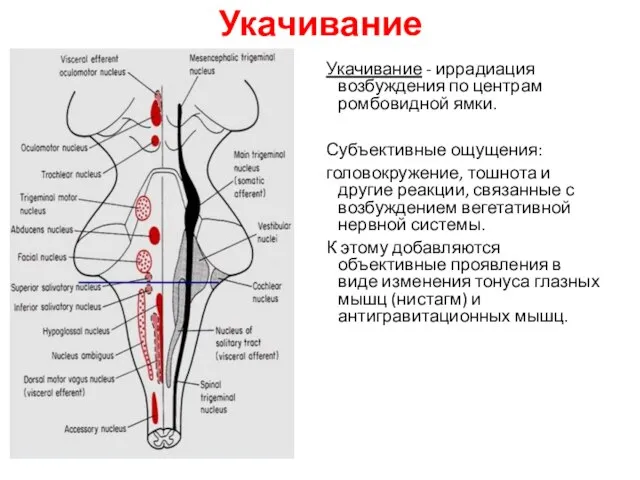 Укачивание Укачивание - иррадиация возбуждения по центрам ромбовидной ямки. Субъективные ощущения: