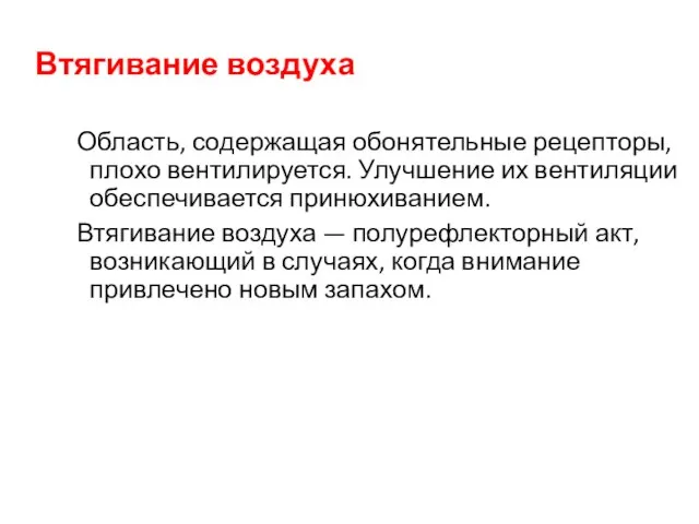 Втягивание воздуха Область, содержащая обонятельные рецепторы, плохо вентилируется. Улучшение их вентиляции