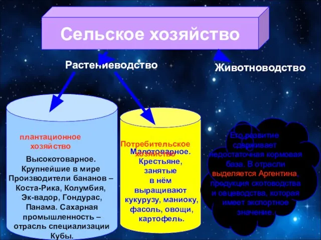 Сельское хозяйство Малотоварное. Крестьяне, занятые в нём выращивают кукурузу, маниоку, фасоль,