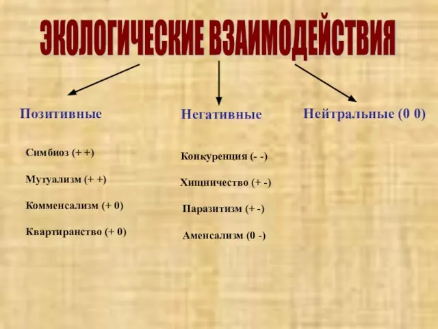 ЭКОЛОГИЧЕСКИЕ ВЗАИМОДЕЙСТВИЯ Нейтральные (0 0) Негативные Позитивные Симбиоз (+ +) Мутуализм